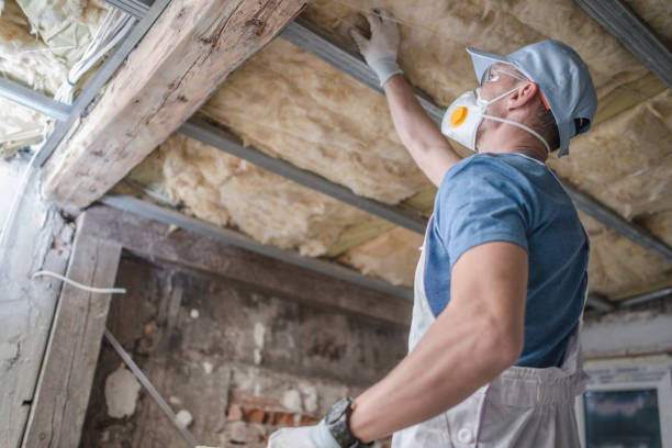 Best Commercial Insulation in South Holland, IL